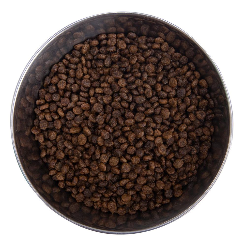Health Extension small-breed kibble close-up shows crunchy texture for mealtime.