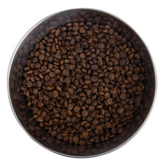 Health Extension small-breed kibble close-up shows crunchy texture for mealtime.