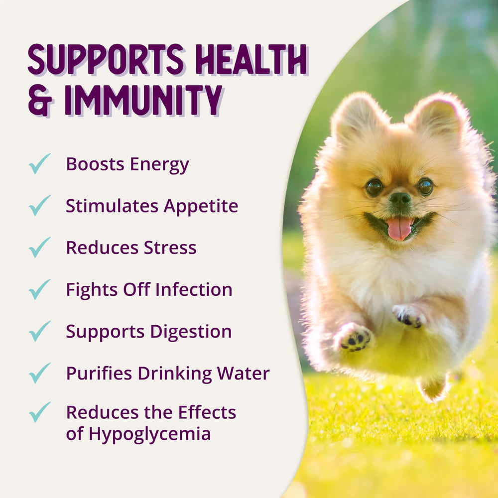 Health Extension Stress Relief for Dogs encourages consistent dosing and routine.