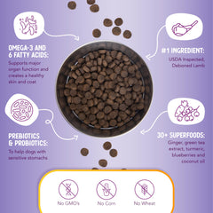 Health Extension turmeric and berries blend in kibble highlights antioxidant-rich nutrition.