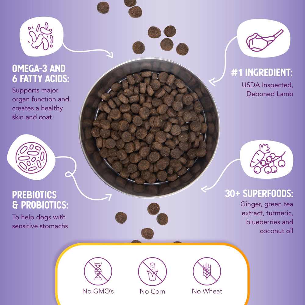 Health Extension turmeric and berries in bowl illustrate powerful superfoods for health.