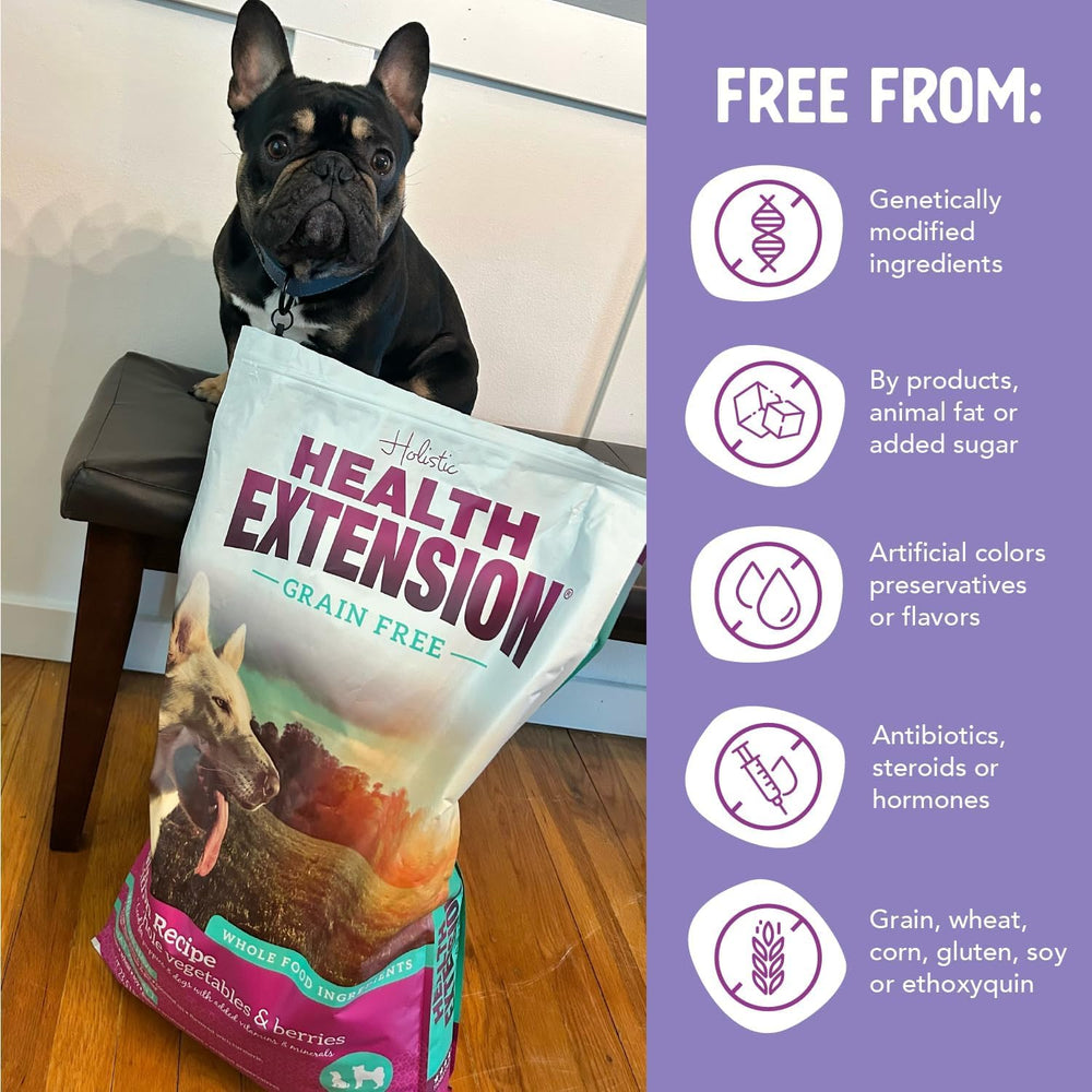 Health Extension probiotics and prebiotics graphic supporting gut balance.