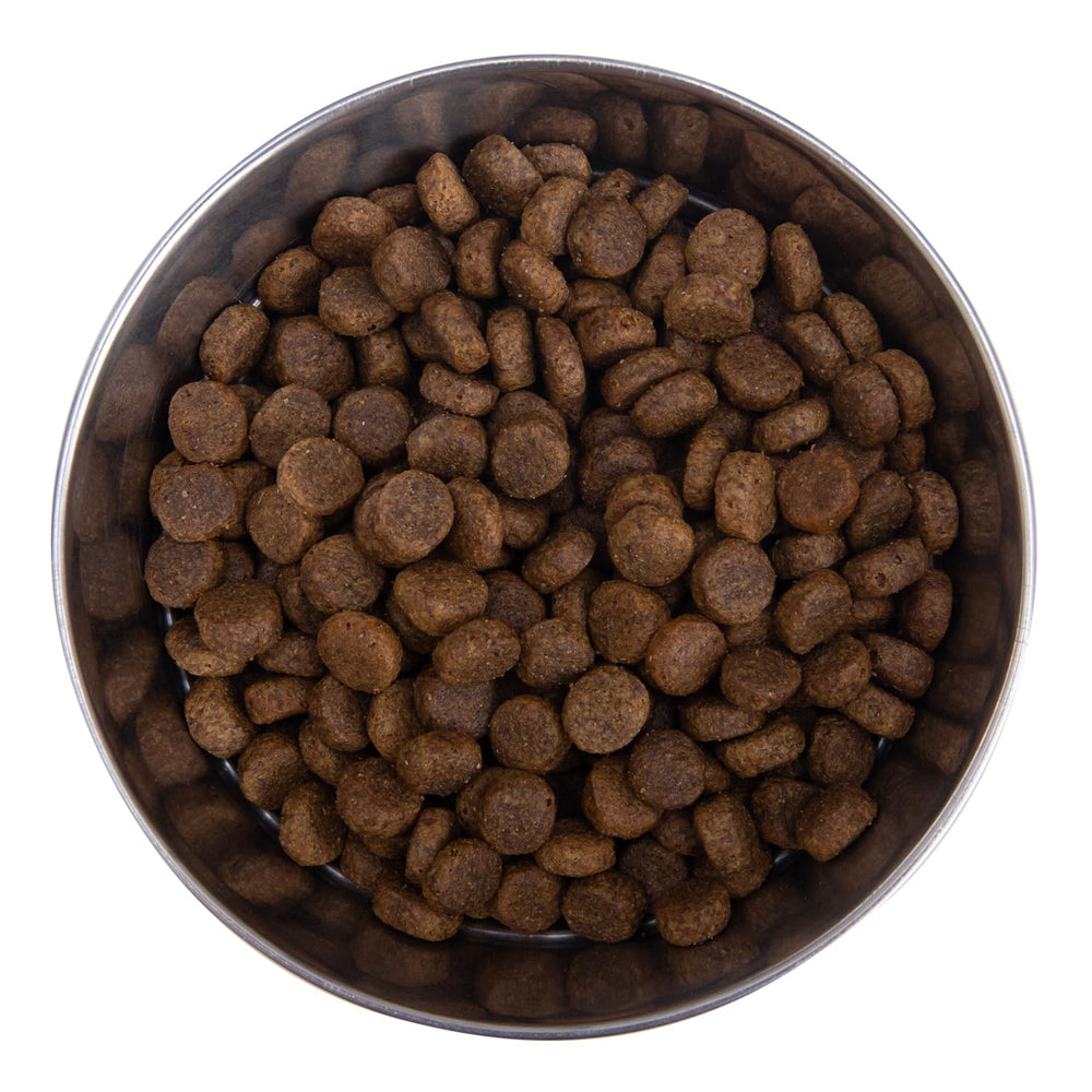Health Extension venison dry dog food bowl with kibble for steady energy.
