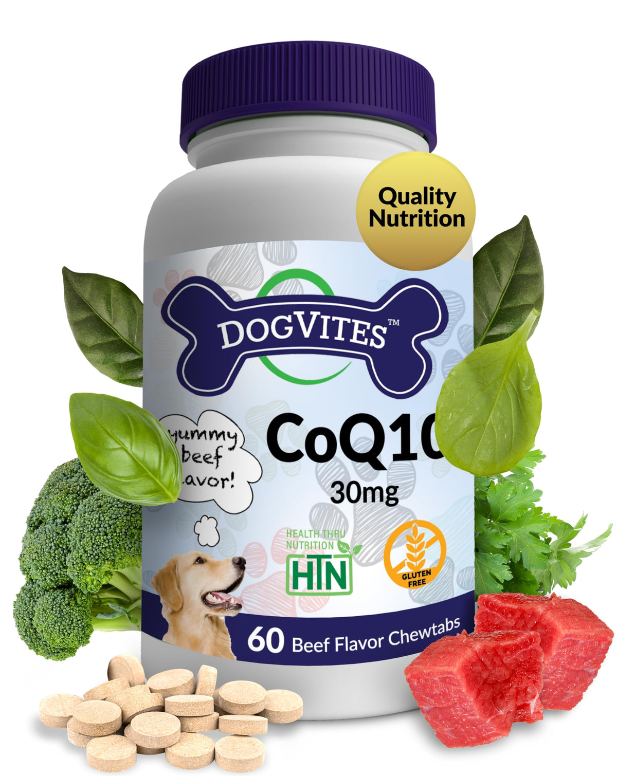 Health Thru Nutrition Dog-Vites CoQ10 bottle with beef-flavored chews to support daily vitality.