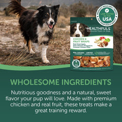 Healthfuls Chicken Wrapped Fruit dog snack ready image highlighting low-fat, protein-rich bite for training.