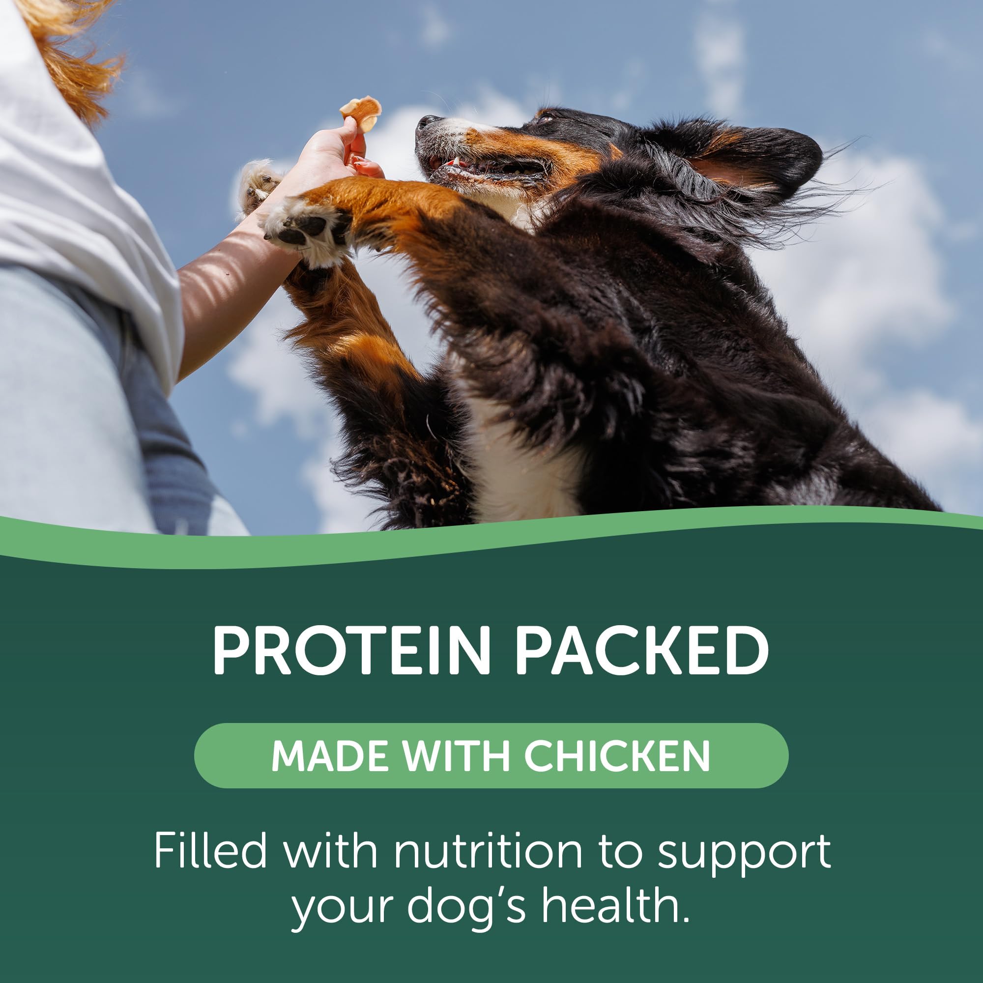 Healthfuls Chicken Wrapped Fruit training reward image emphasizes real fruit and wholesome ingredients.