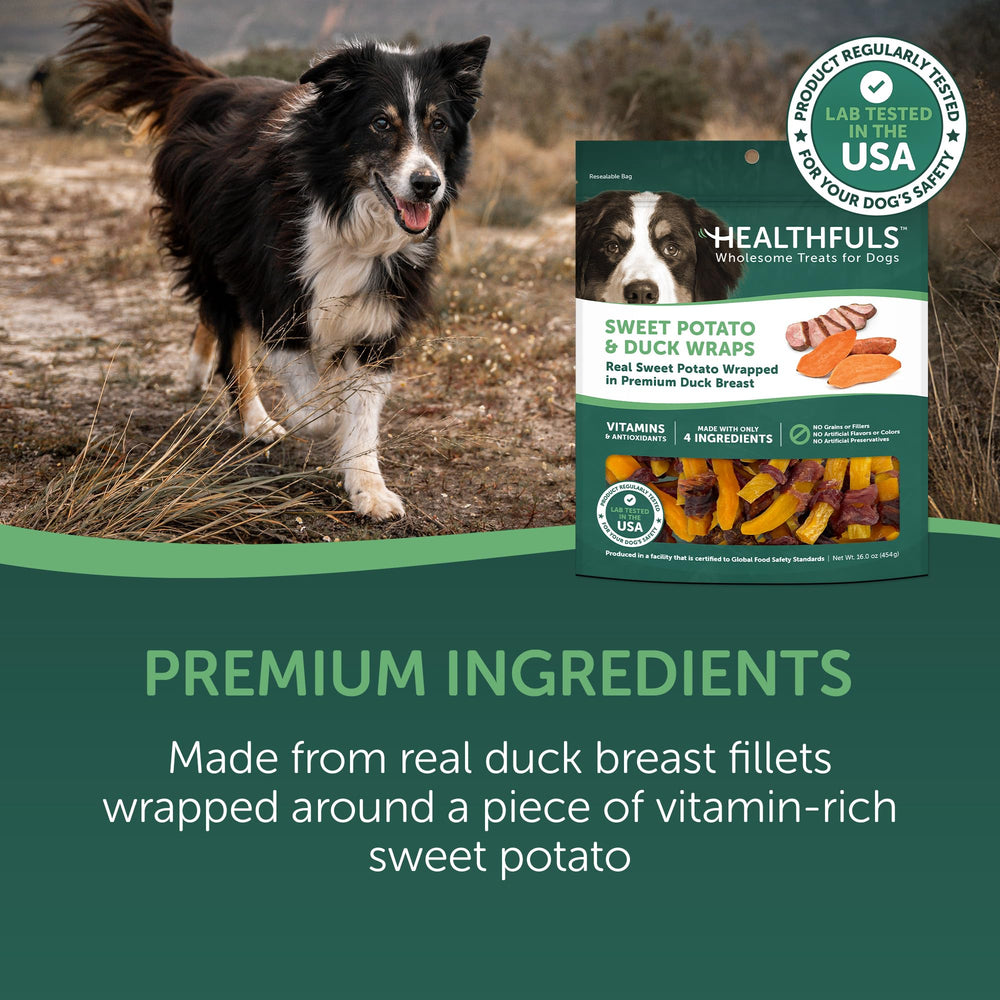 Healthfuls duck and sweet potato treats closeup of bite sized pieces