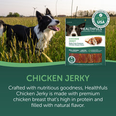 Healthfuls Wag Tails Jerky closeup texture showing chewy bites