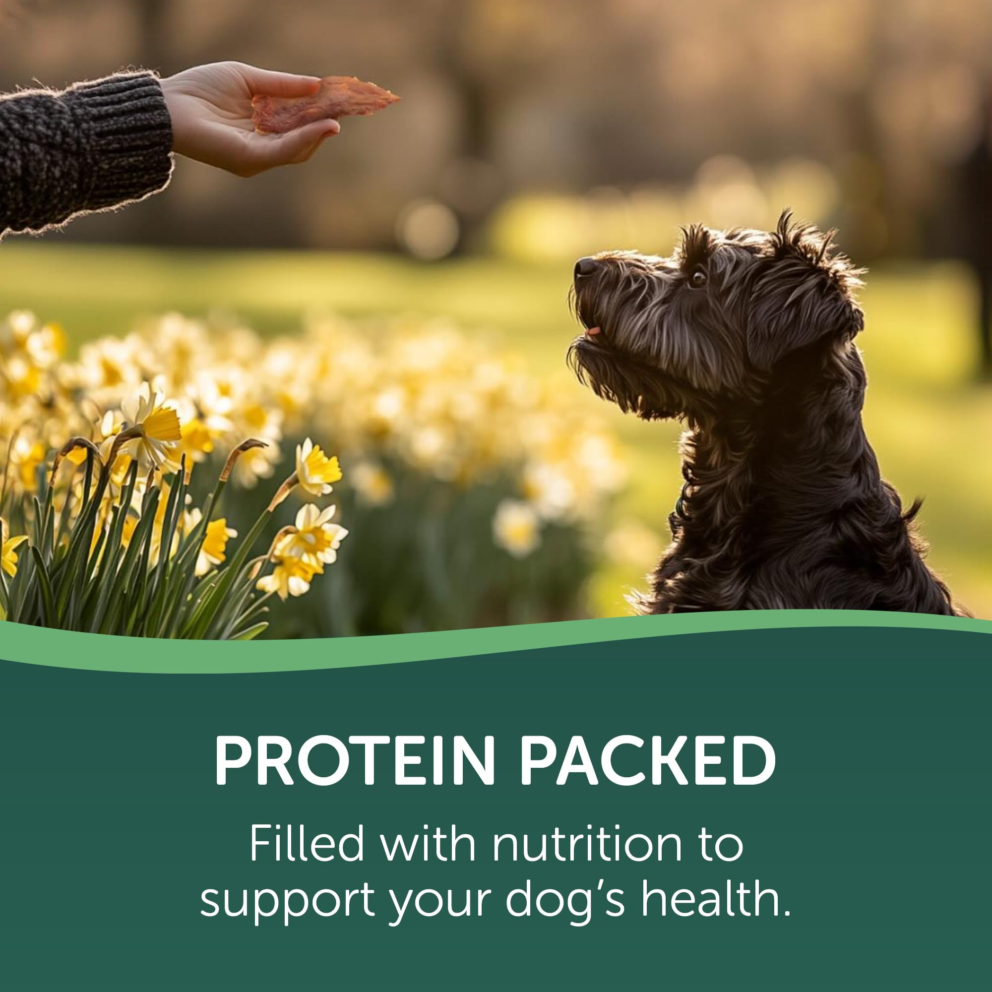 Healthfuls Wag Tails Jerky small pieces ideal for training rewards