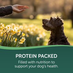 Healthfuls Wag Tails Jerky small pieces ideal for training rewards