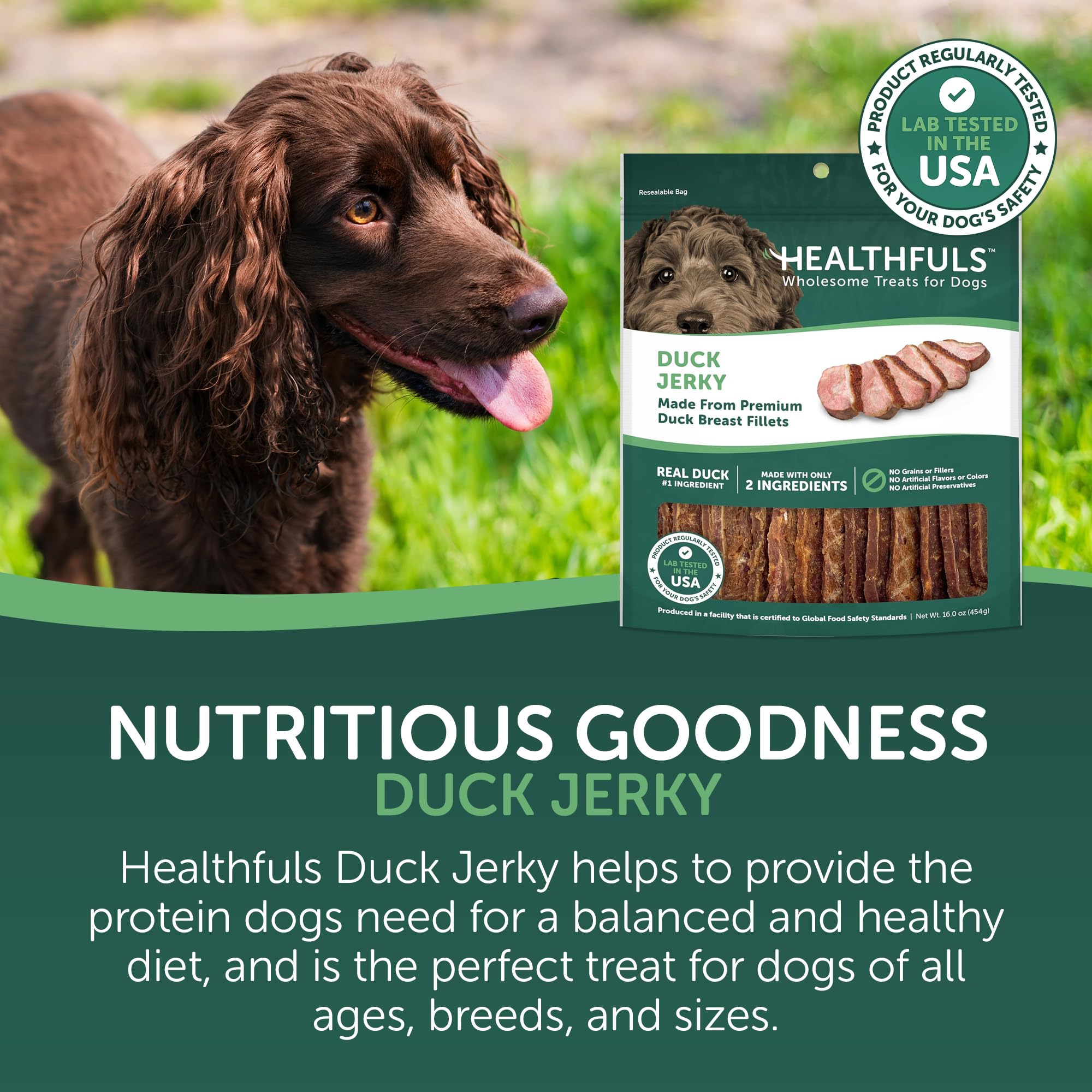 HEALTHFULS Westminster Wag N Tails duck jerky pack showing real duck breast and simple ingredients