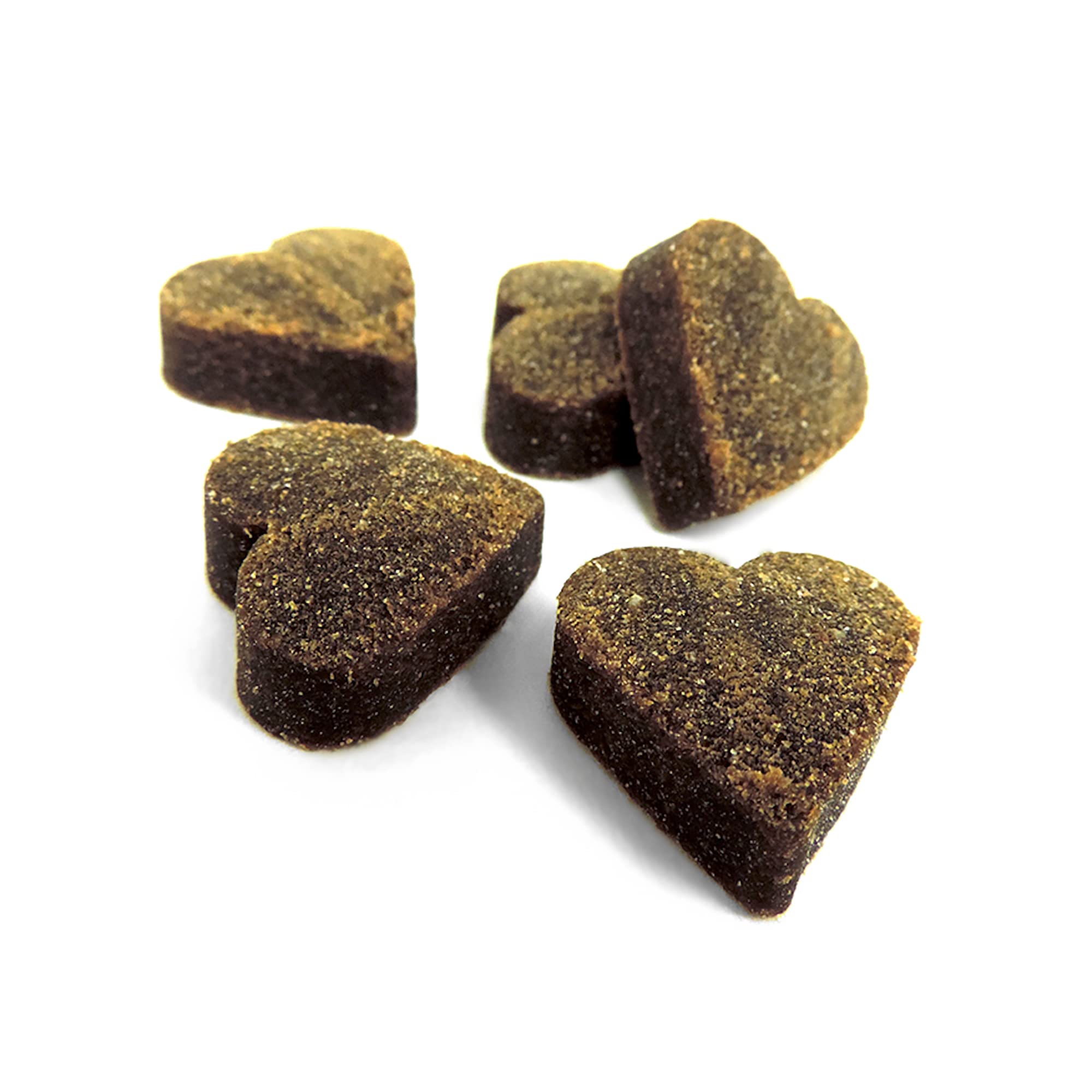 Healthy Breeds Rottweiler Multi-Vitamin Soft Chews dog ready to eat during daily routine.
