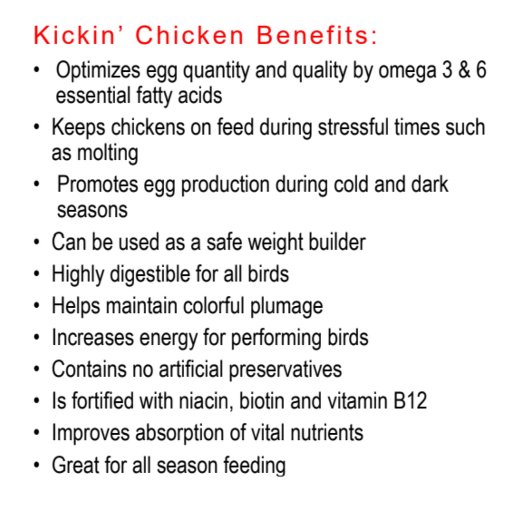 Healthy Coat Kickin Chicken Feed Supplement hen image suggests improved resilience and vitality.