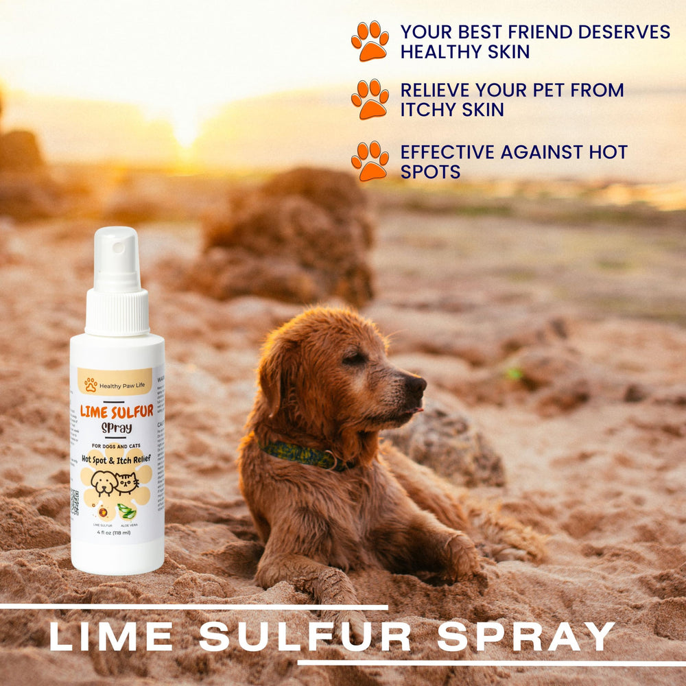 Spray application on pet using Healthy Paw Life Classics Lime Sulfur Spray