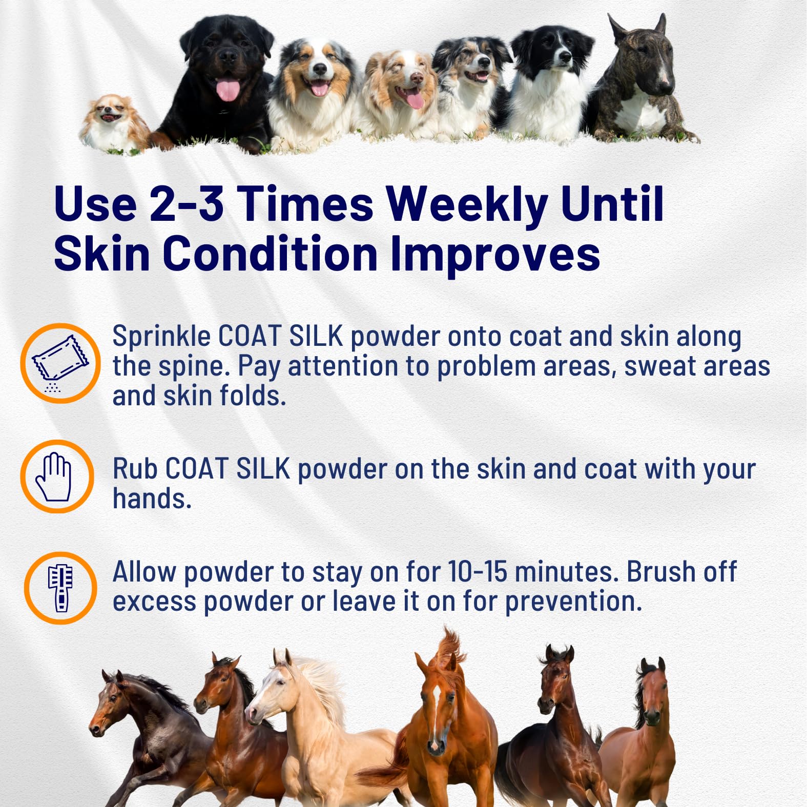 Healthy Paw Life Coat Silk Powder on horse coat supports moisture balance during grooming.