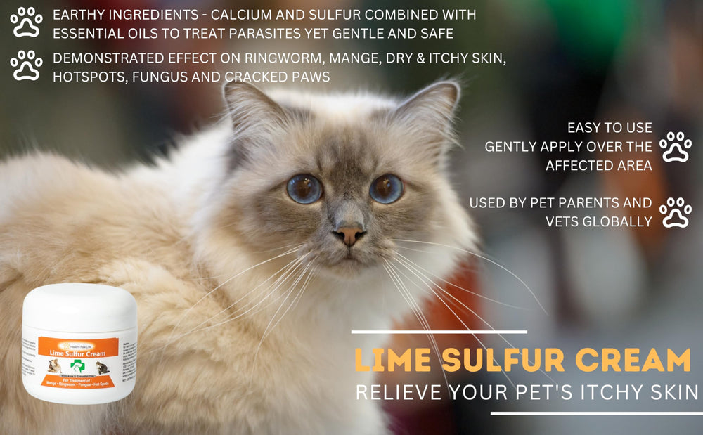 Healthy Paw Life lime sulfur cream used on cats during grooming.