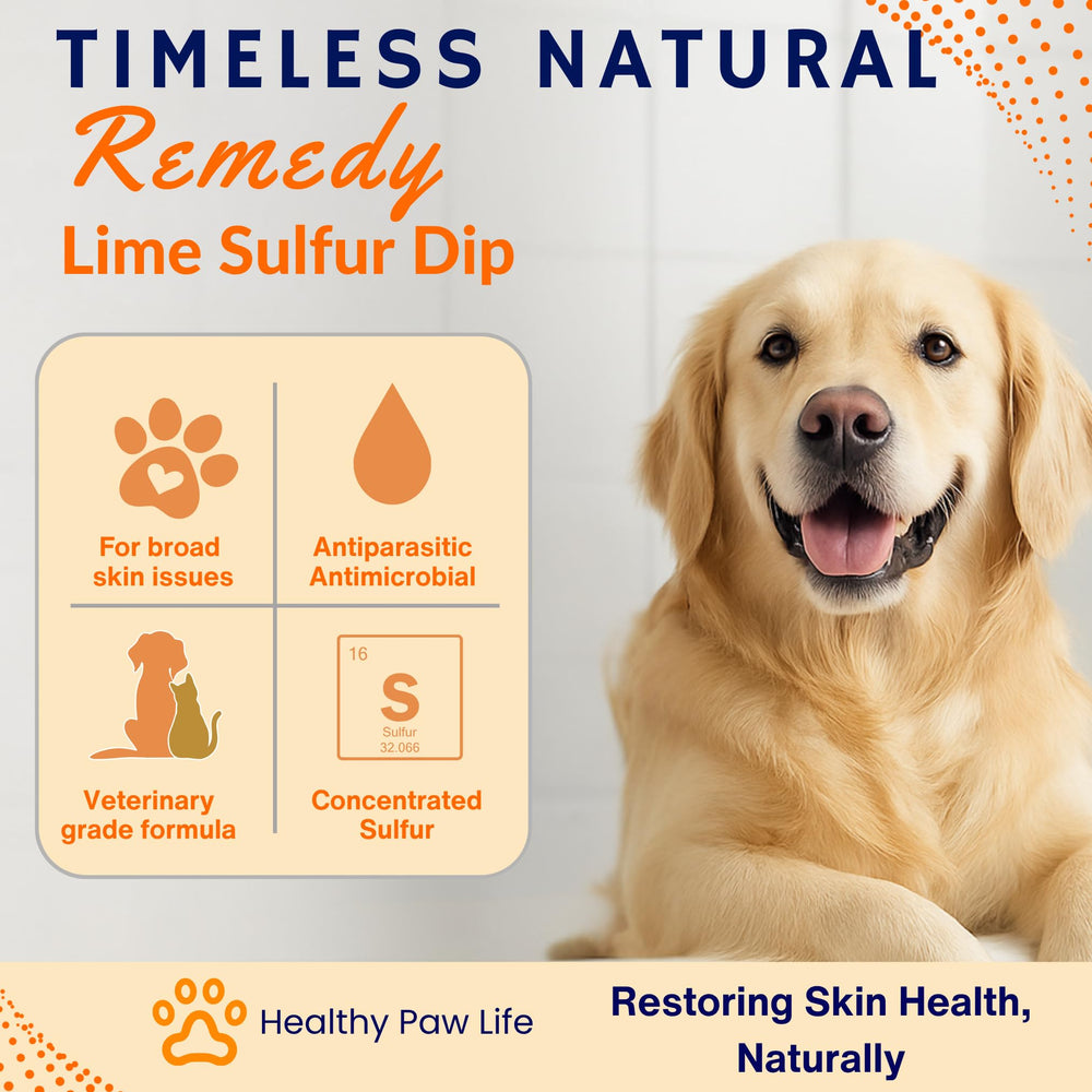 Healthy Paw Life lime sulfur dip applied to a dog for itchy skin.