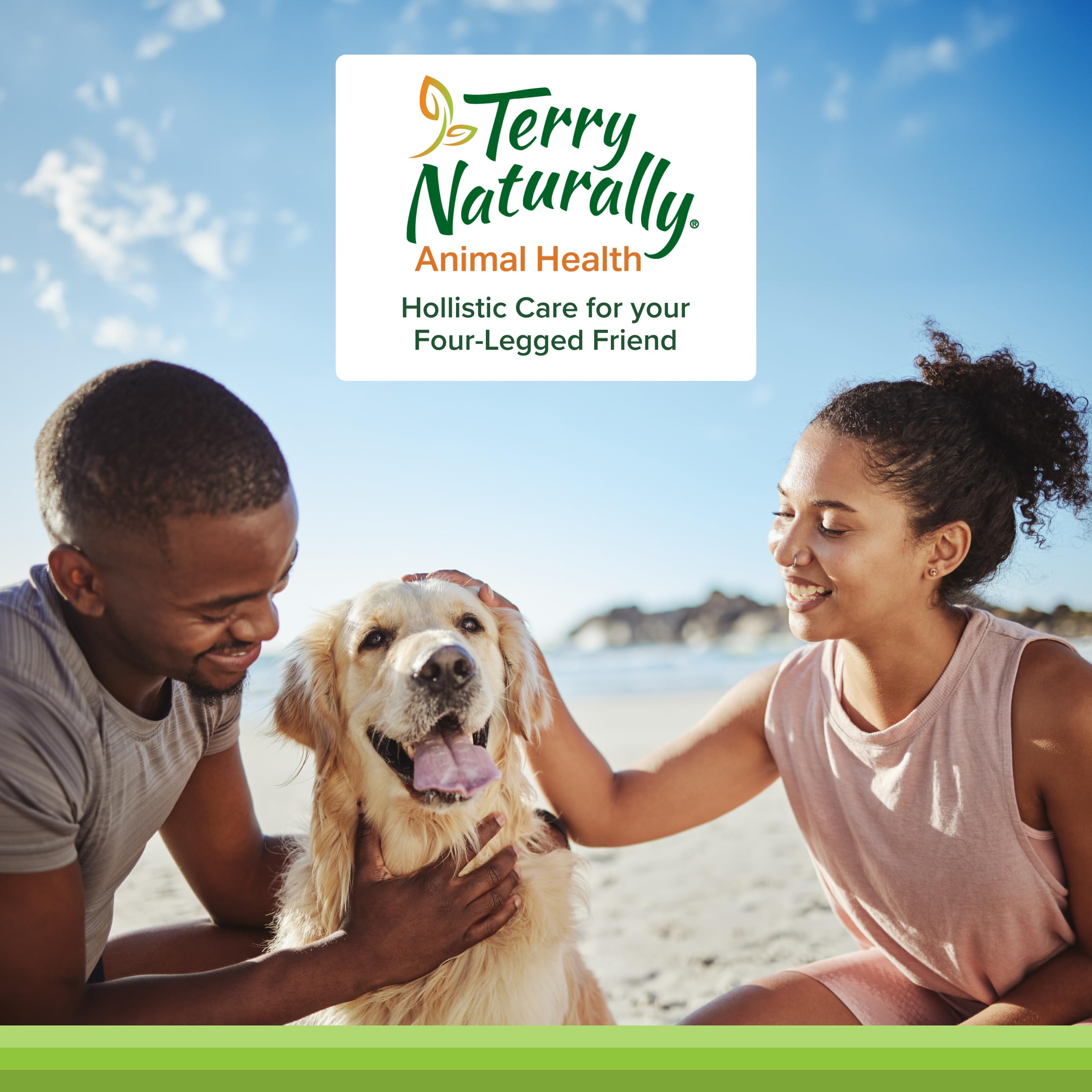 Healthy pet using Curacel Curcumin supplement daily.