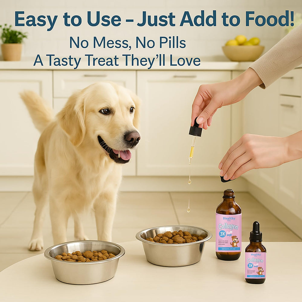 Healthy Petz coat shine close-up reinforces the gloss and health benefits.