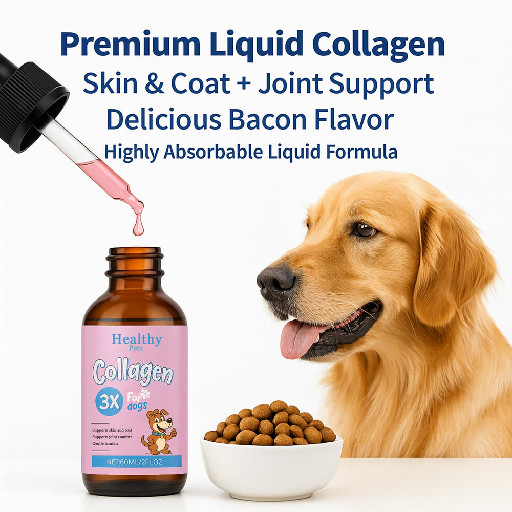 Healthy Petz Premium Liquid Collagen in a dog dish shows convenient meal integration.