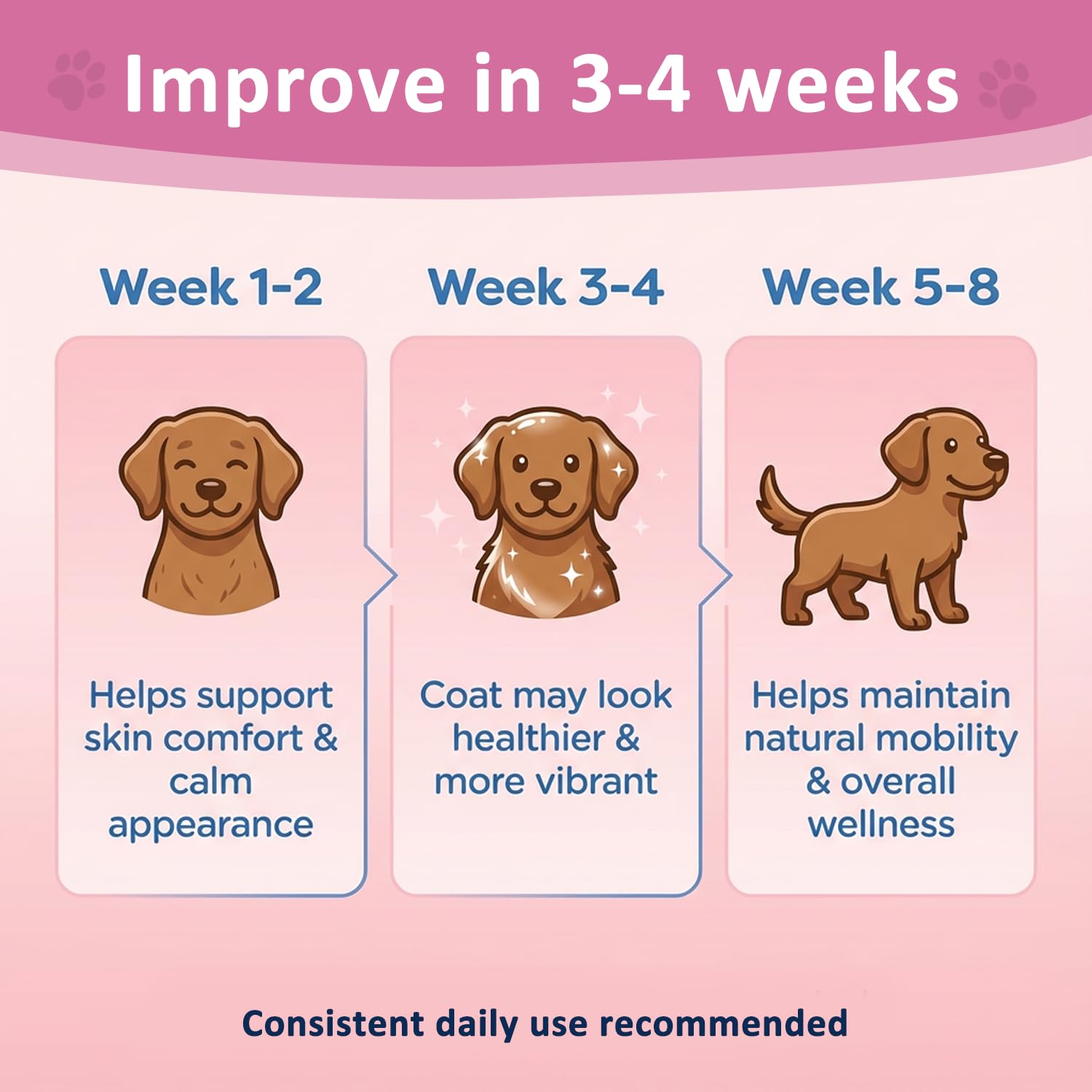 Healthy Petz liquid collagen supports comfortable movement in dogs during play