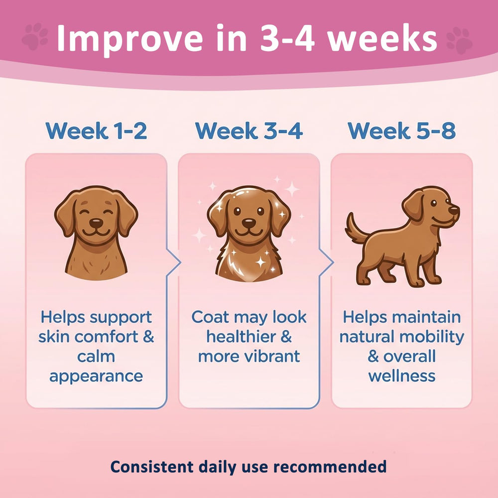 Healthy Petz liquid collagen supports comfortable movement in dogs during play