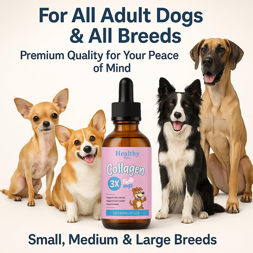 Healthy Petz wellness packaging hints at high-quality ingredients and trusted care.