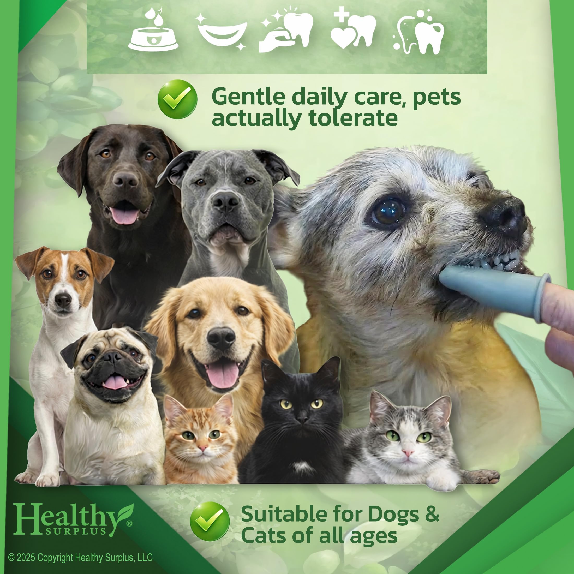 Healthy Surplus daily oral care for pets shown with brushing routine