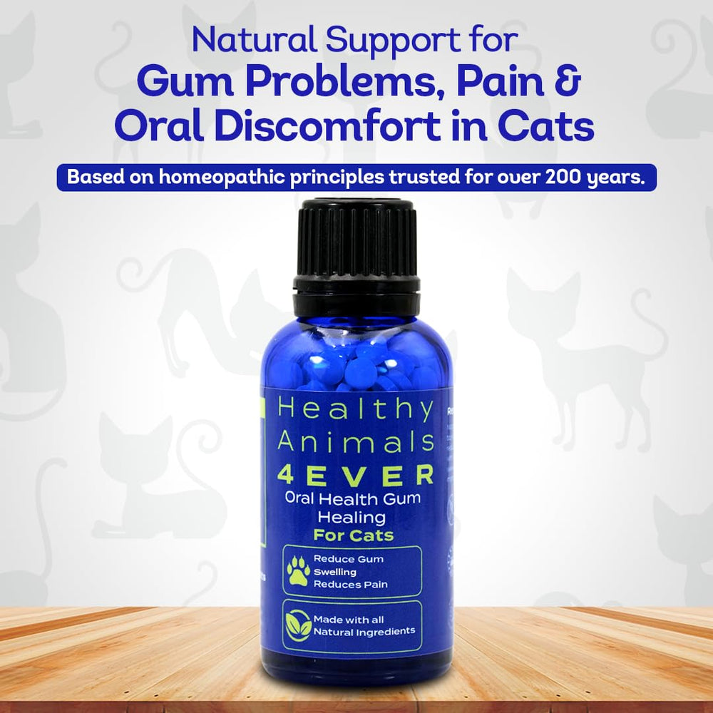HA4E pellets dissolving in water support gentle administration for cats
