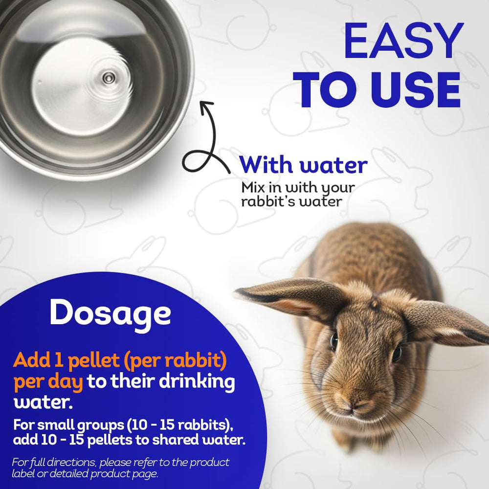 HealthyAnimals4Ever HA4E tablets illustrating immune support for rabbits