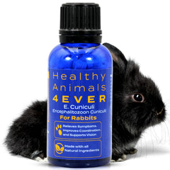 HealthyAnimals4Ever HA4E rabbit tablets pack for natural infection support in daily care