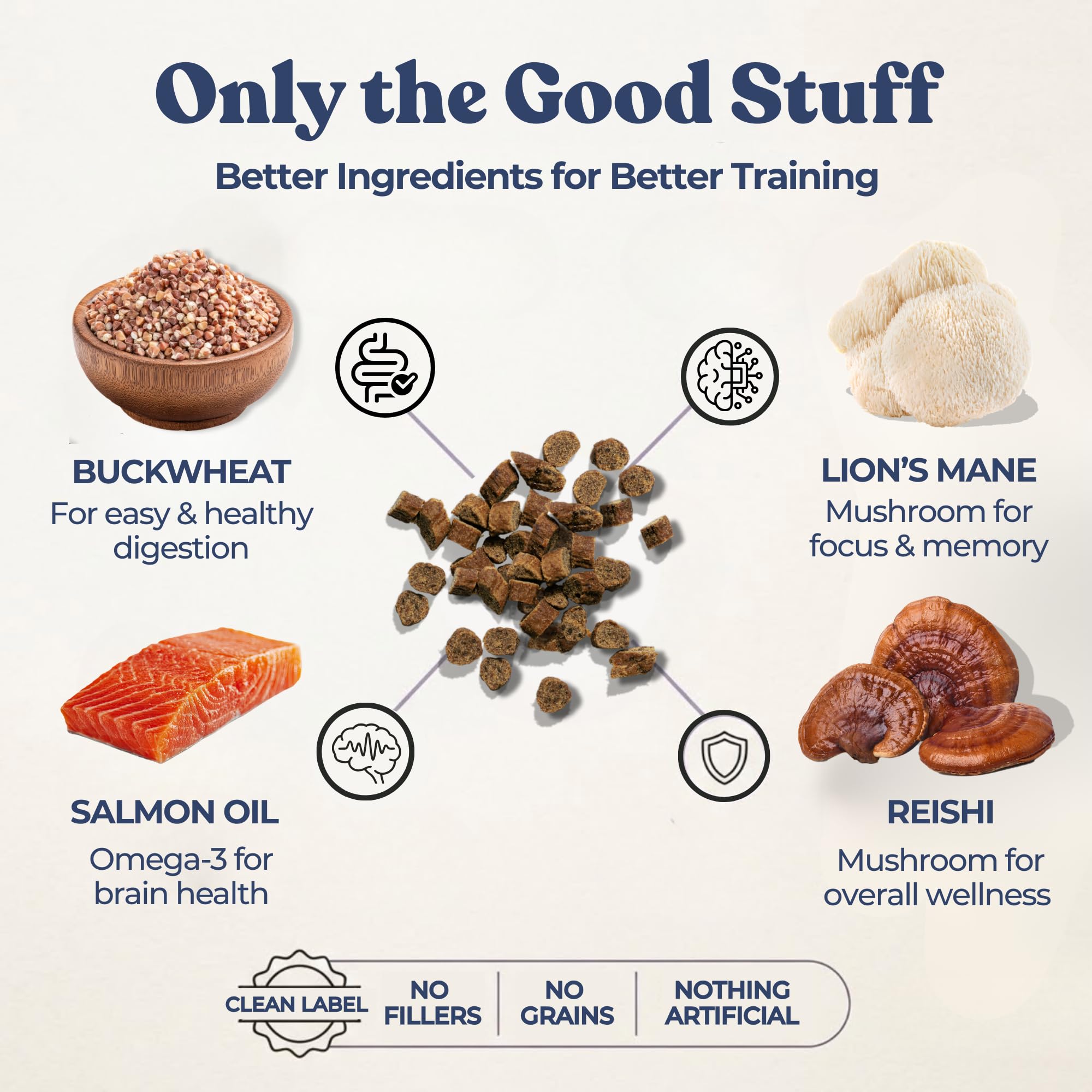 Healthybud label featuring Reishi and Lion’s Mane ingredients for brain-friendly nutrition.