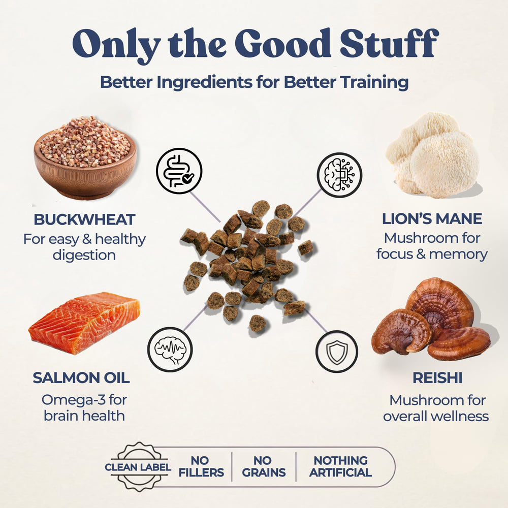 Healthybud label featuring Reishi and Lion’s Mane ingredients for brain-friendly nutrition.