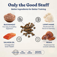 Healthybud label featuring Reishi and Lion’s Mane ingredients for brain-friendly nutrition.