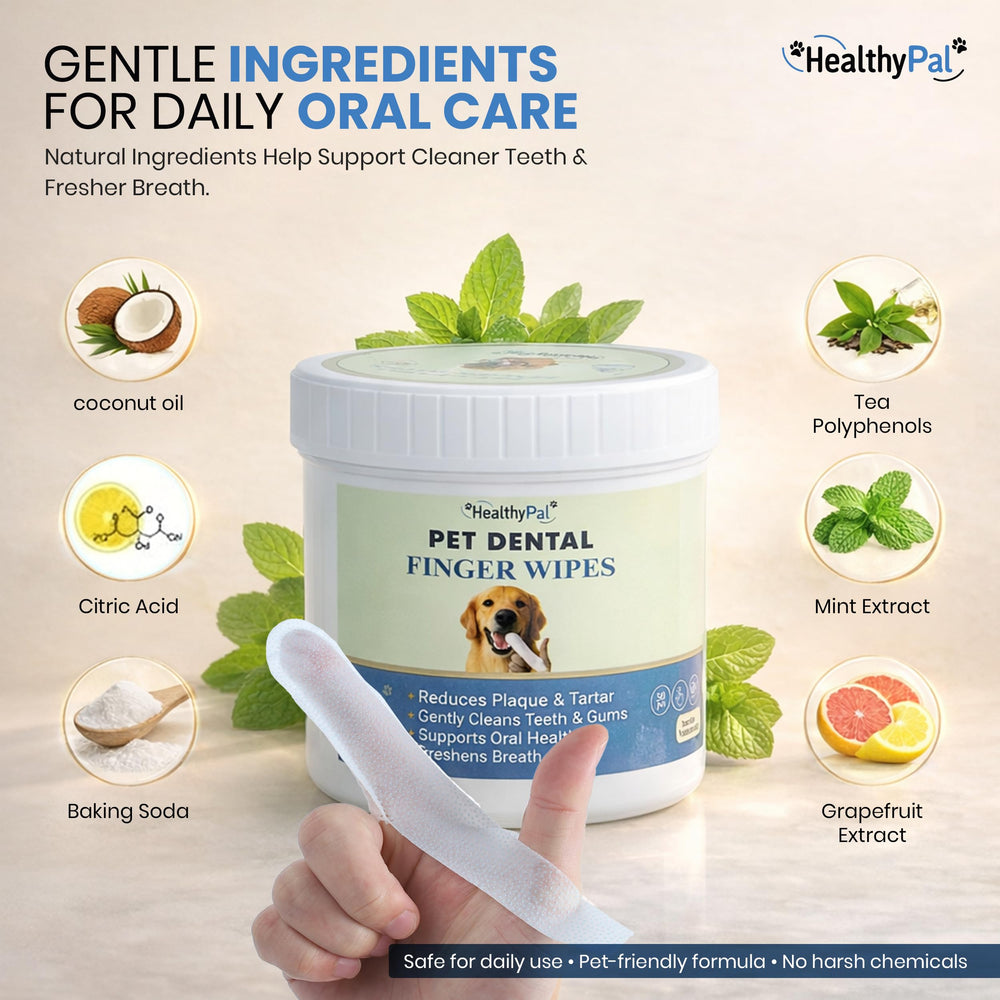 HealthyPal dog and cat oral care routine with wipes and spray