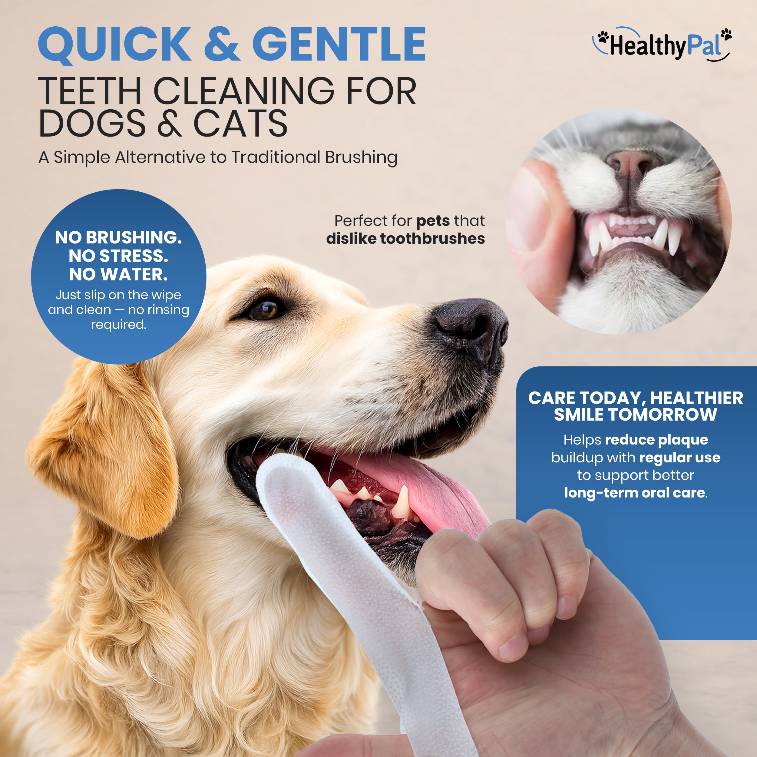 HealthyPal mint breath spray bottle ready for quick breath refresh