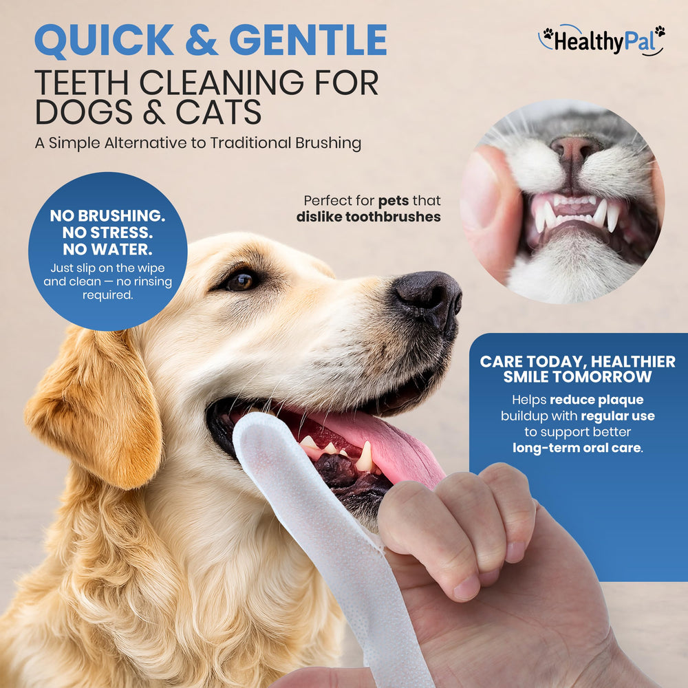 HealthyPal mint breath spray bottle ready for quick breath refresh
