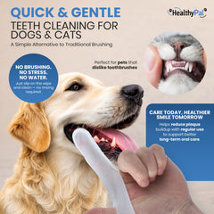 HealthyPal mint breath spray bottle ready for quick breath refresh