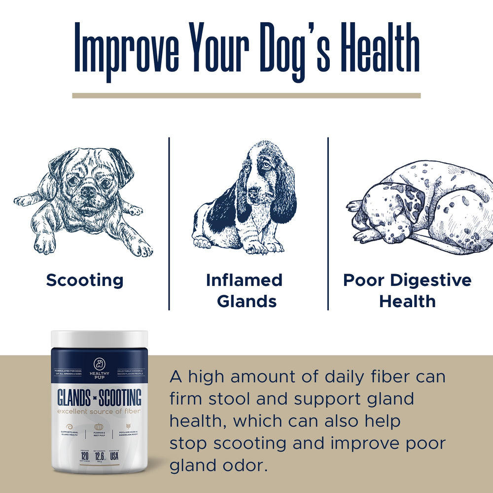 Healthy Pup psyllium husk supports regularity and gut balance for dogs