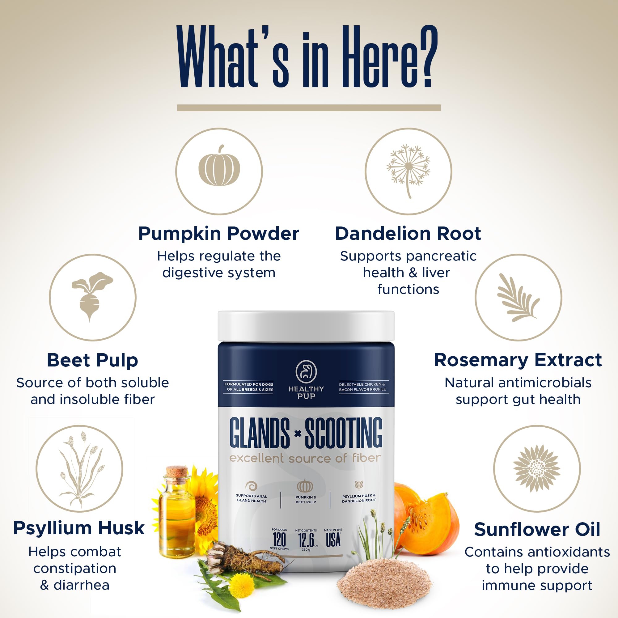 Healthy Pup pumpkin powder blend aiding digestive balance in dogs
