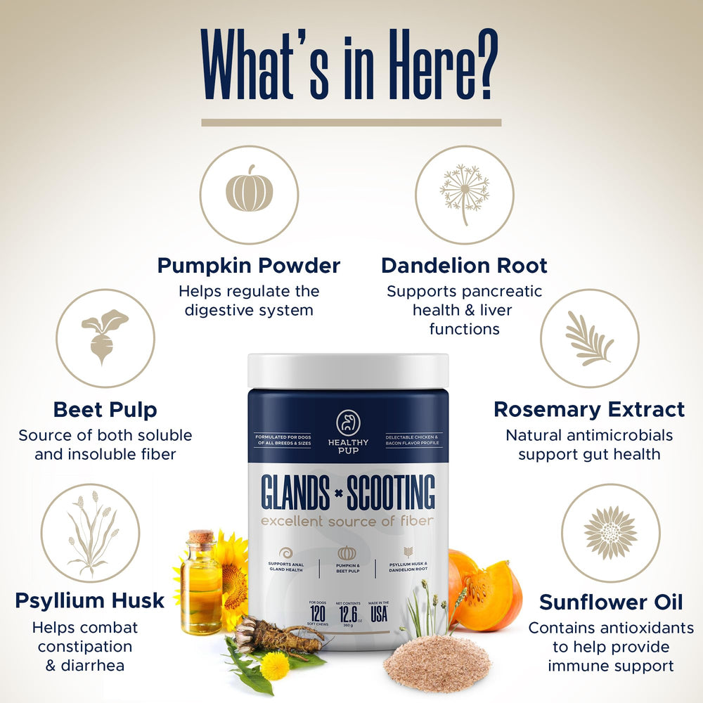 Healthy Pup pumpkin powder blend aiding digestive balance in dogs