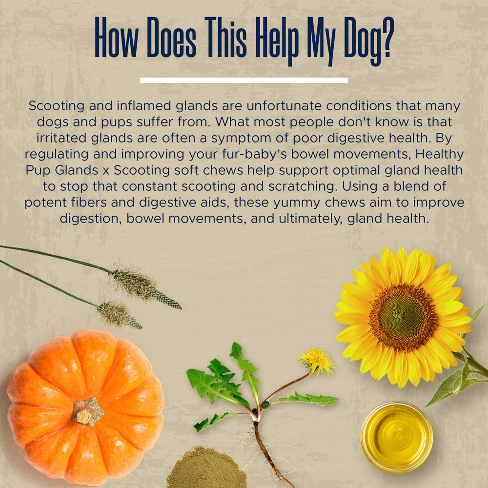 Healthy Pup USA-made badge indicating local production quality