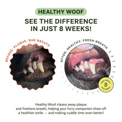 Healthy Woof powder sprinkled on food offers convenient dental care.