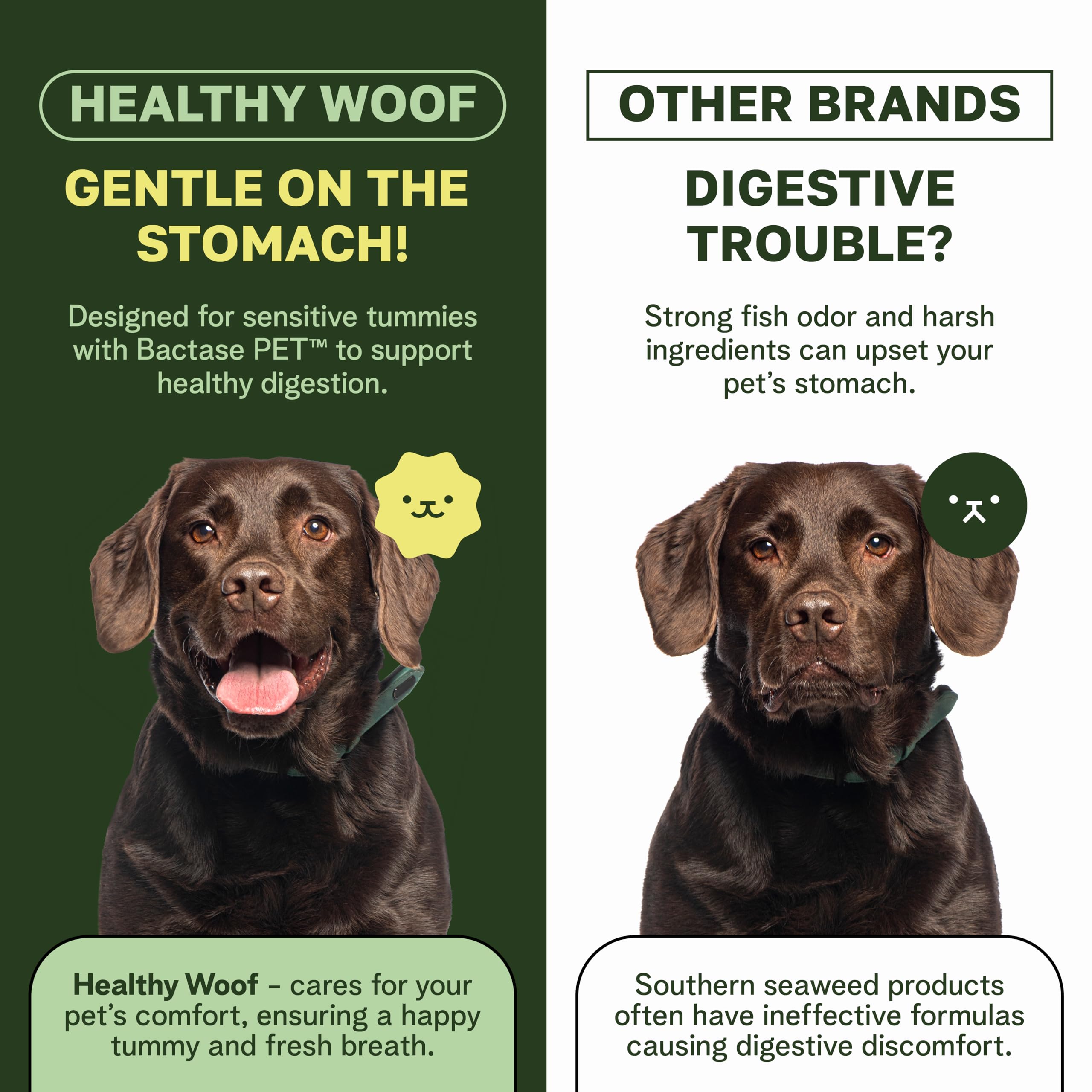 Healthy Woof fresh breath image suggests possible breath improvement with daily use.