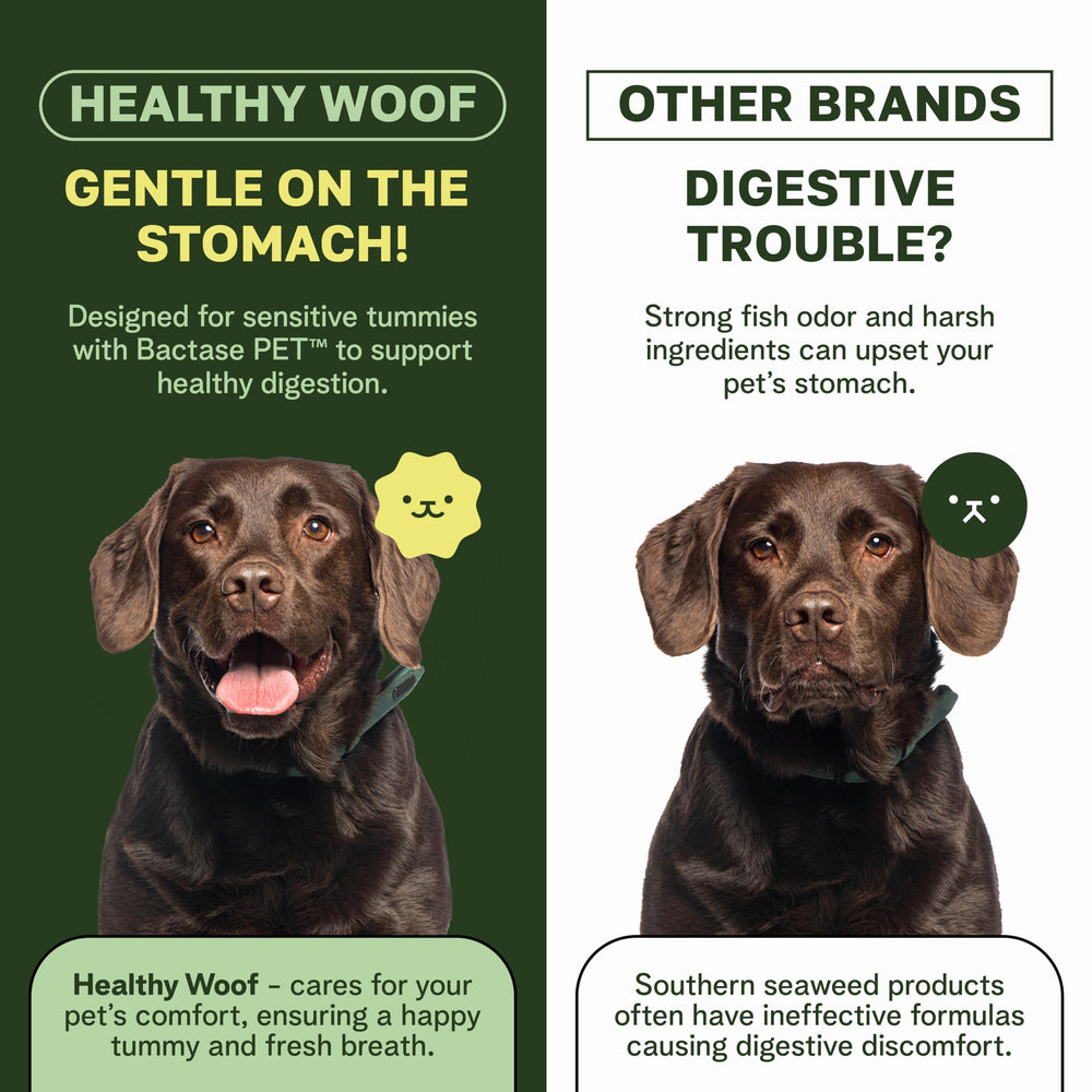 Healthy Woof fresh breath image suggests possible breath improvement with daily use.