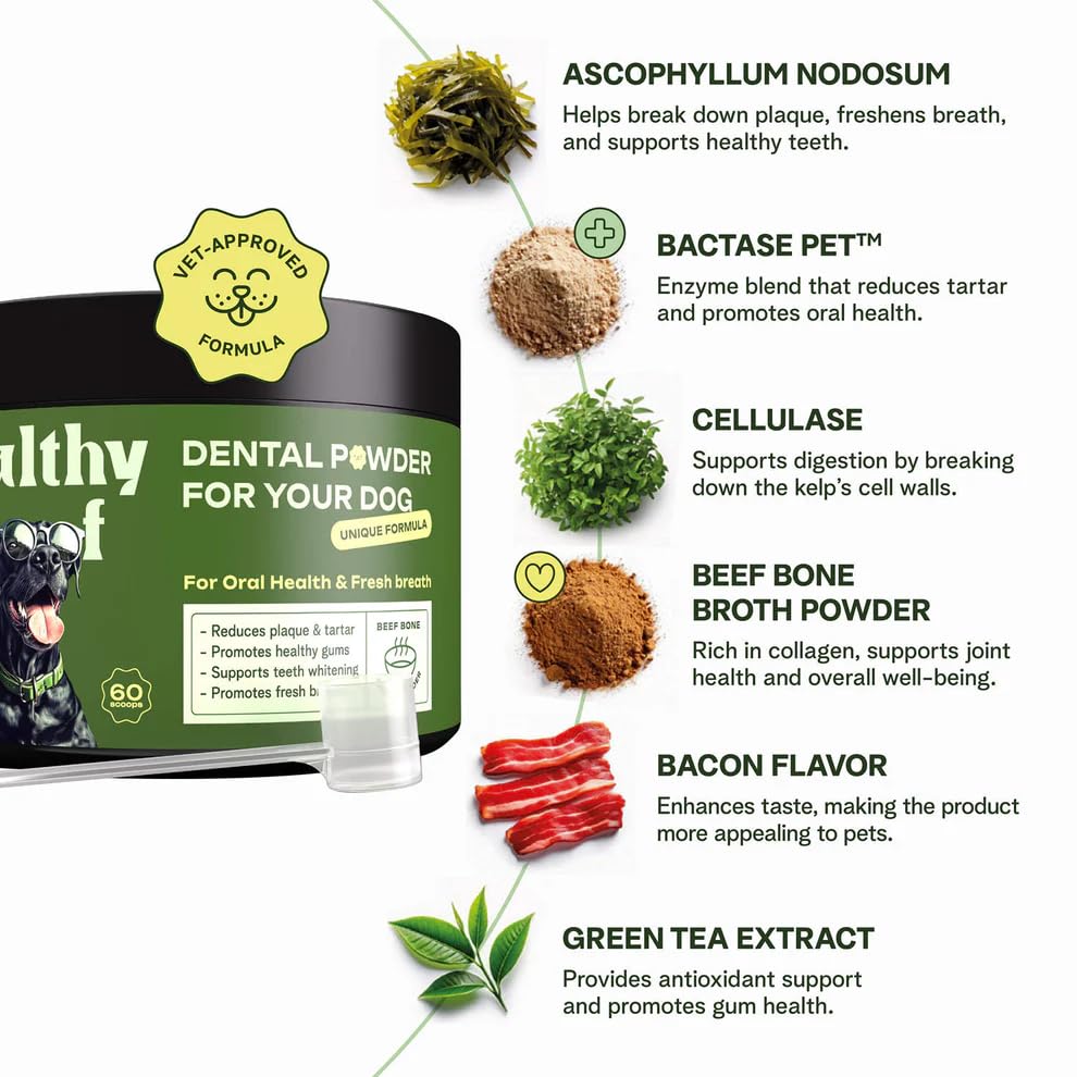 Healthy Woof texture and scoop ready to top dog food without brushing.