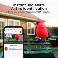 HEAPETS AI Bird Recognition supports 10,000+ species for curious wildlife identification.