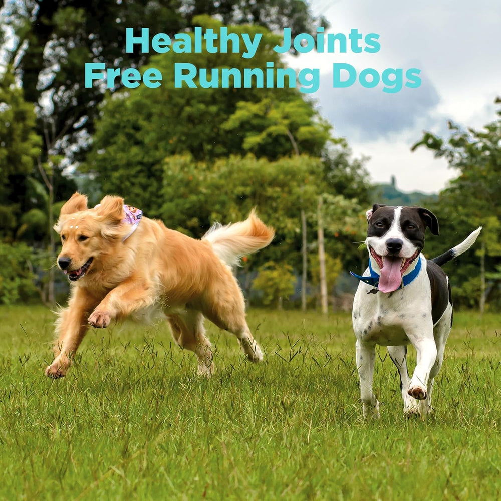 HEAPETS dog during walk after using joint chews for potential mobility support