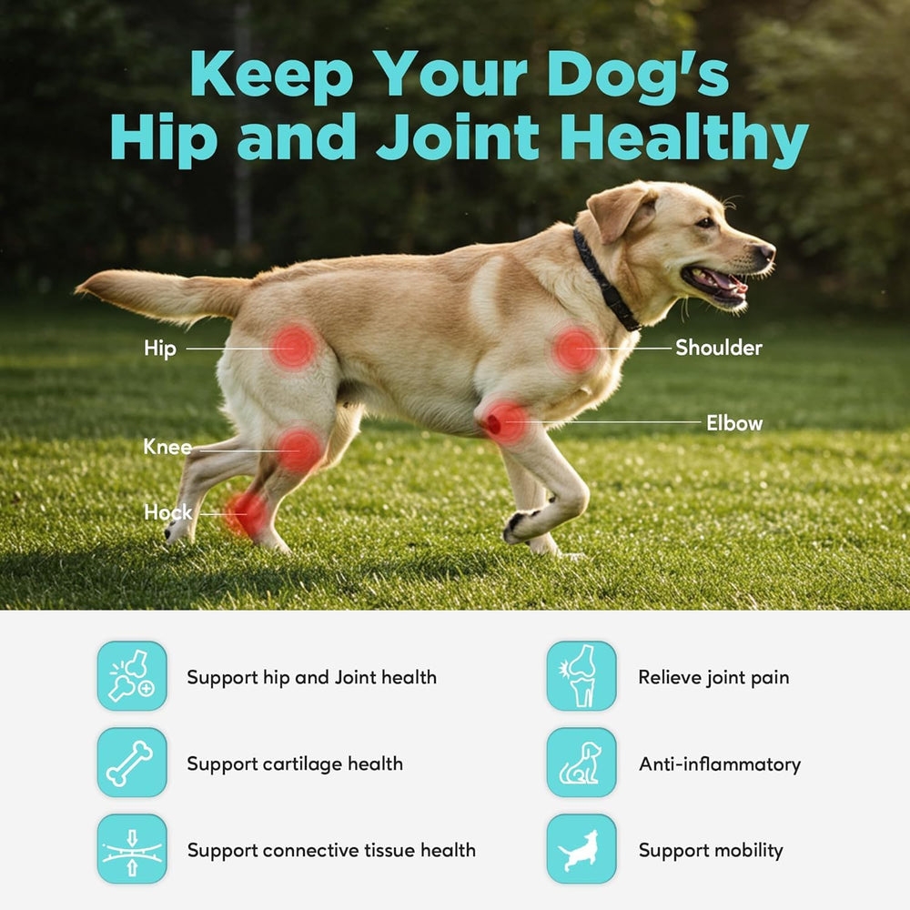 HEAPETS dog enjoying chicken flavored joint chews for daily support