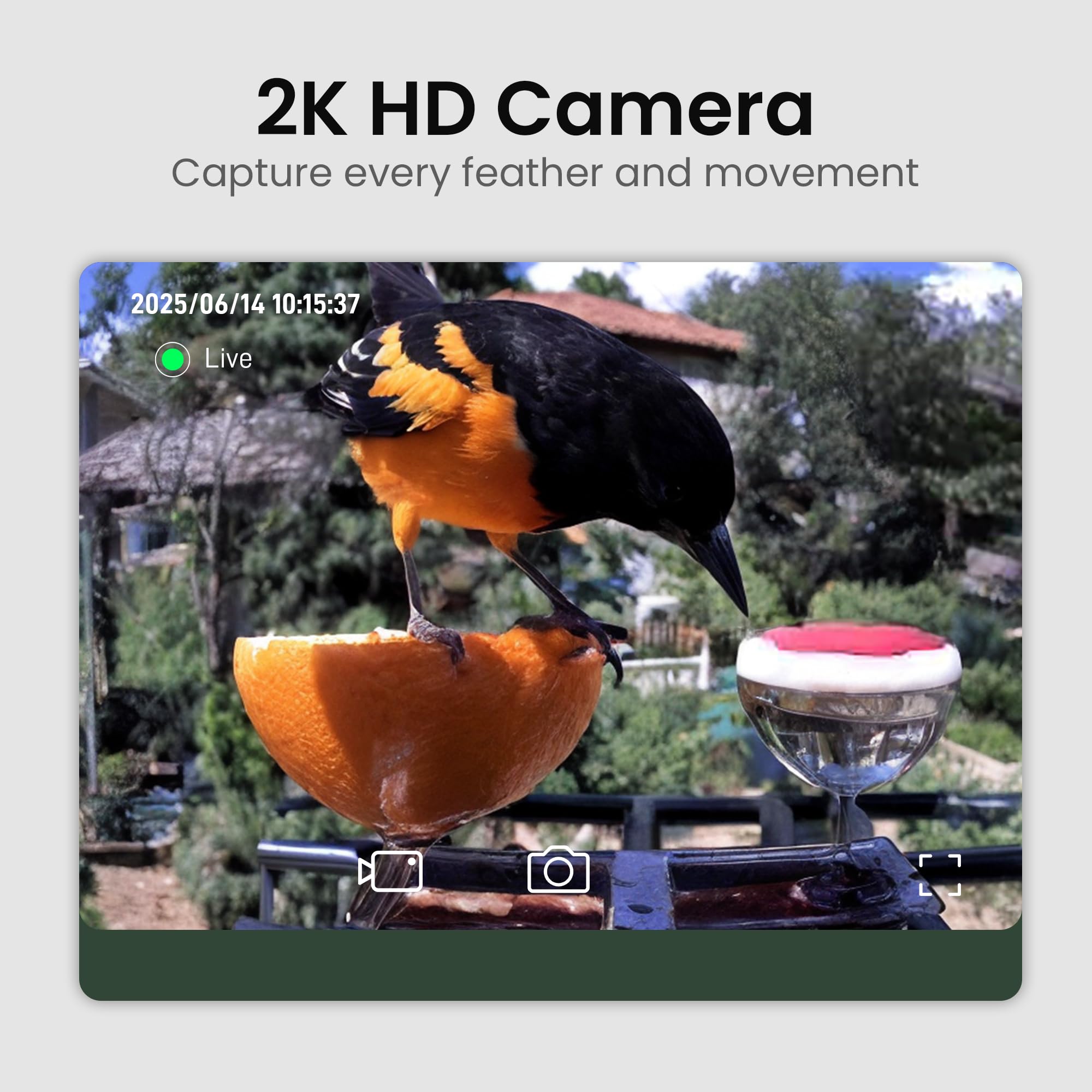HEAPETS Solar-Powered Bird Feeder keeps outdoor viewing reliable with eco-friendly power.